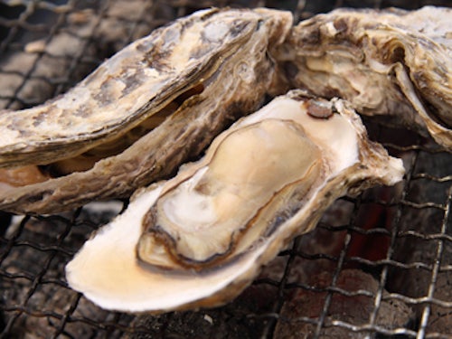 【名古屋発】鳥羽浦村産!人気の与吉屋で焼き牡蠣食べ放題&女性の願いを一つ叶える石神さん1